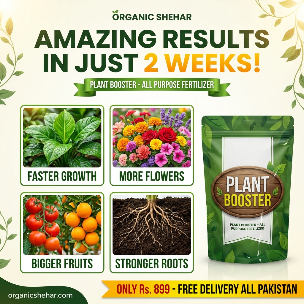 🌱 PLANT BOOSTER SPRAY – Faster Growth & More Fruits