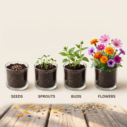 Mixed Flower Seeds – 40+ F1 Hybrid Seeds, 8 Colours