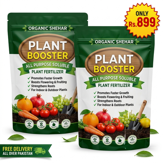 🌱 PLANT BOOSTER SPRAY – Faster Growth & More Fruits